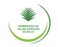 palma